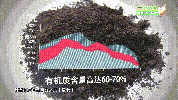 中国用了占世界多少的耕地,我国用占世界百分之几的耕地