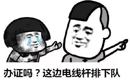 现在出境游还需要领队证吗,出境游导游证