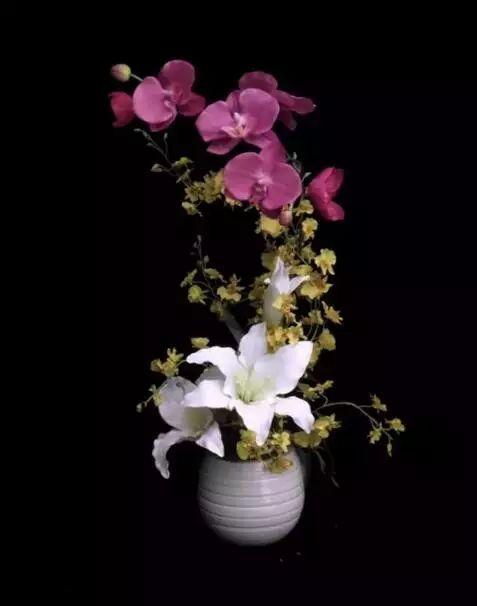 这才是世界上最贵的花卉,君子兰最便宜的花卉