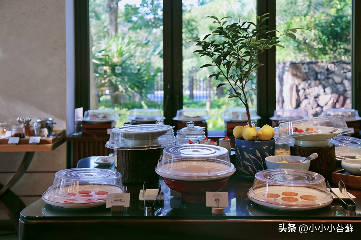 三亚吃住行,三亚自由行海边住宿攻略