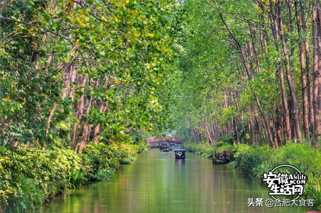 2020年,在这50个地方遇见不一样的合肥