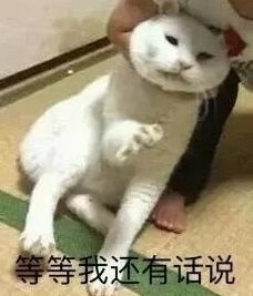 弹吉他左手粘弦,弹吉他手指换不过来怎么办