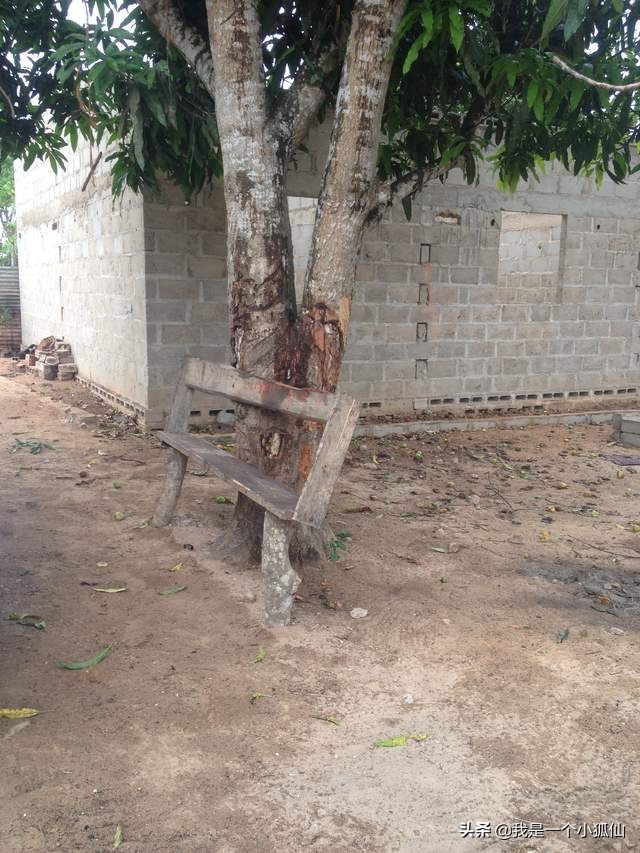 我为非洲安哥拉的那个巫婆拍照我在非洲安哥拉的日子159