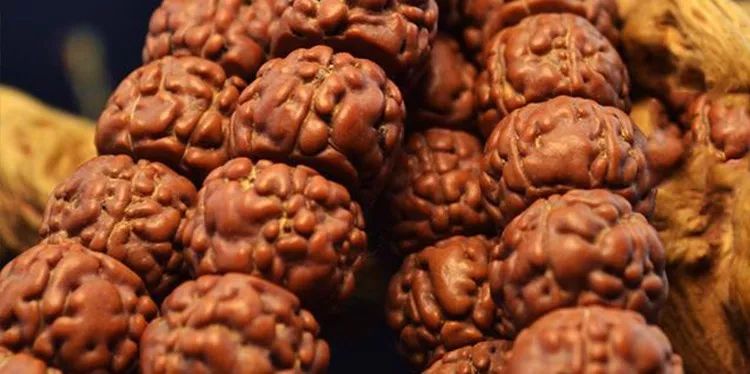 小金刚菩提子各种纹路图片,小金刚菩提的纹路有哪些