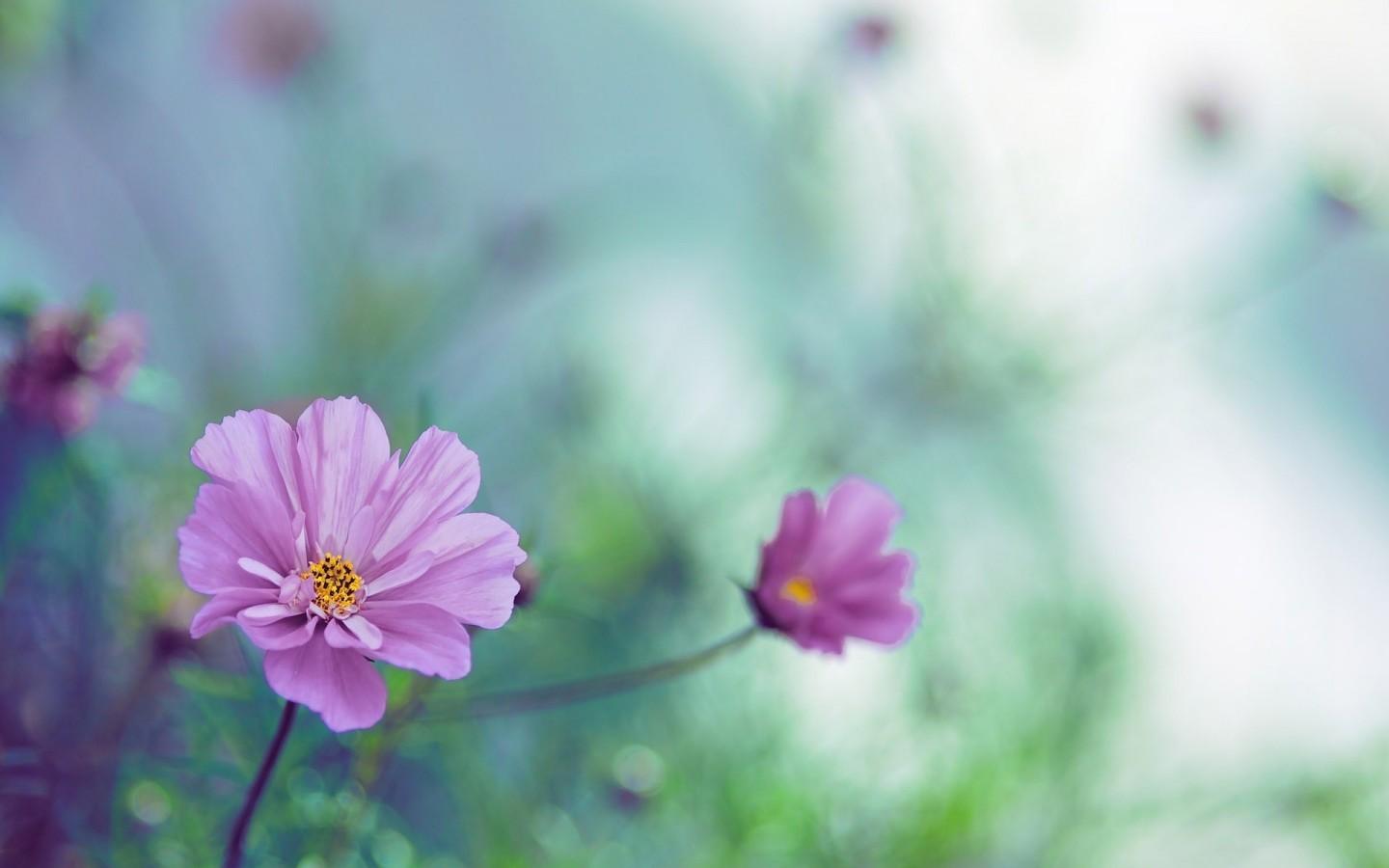 了凡四训病由心灭,了凡四训不生子的原因