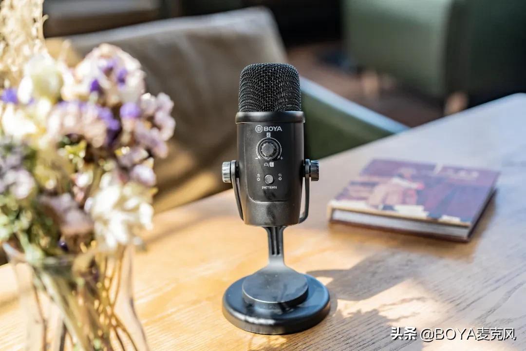 kk205麦克风是大振膜还是小振膜,联想um6是大振膜还是小振膜麦克风