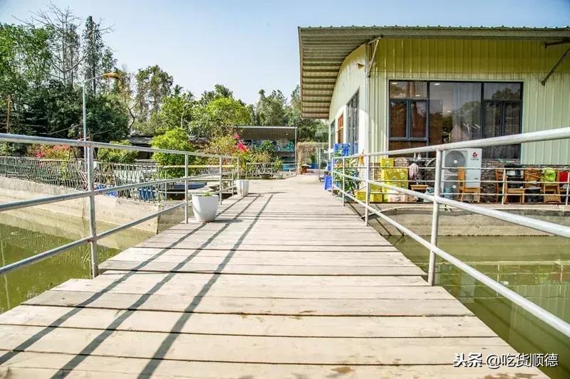 顺德人均100的农庄,顺德最顶级农庄