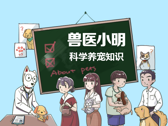 猫咪身上有跳蚤驱虫后要洗澡吗,猫咪身上有跳蚤有什么办法