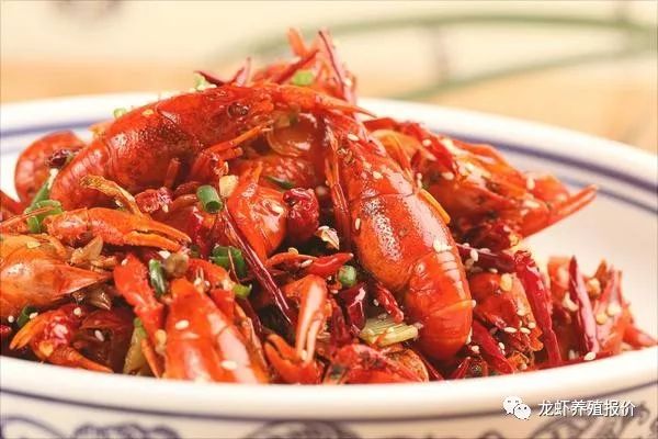 投资养殖小龙虾100亩成本多少钱,小龙虾成本与利润