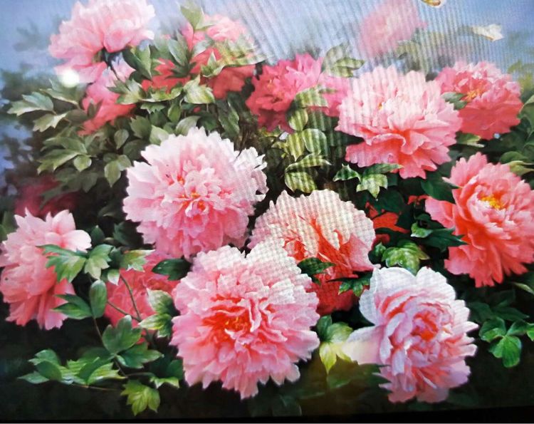 中国小幅油画作品大展作品集,三峡丹青油画作品