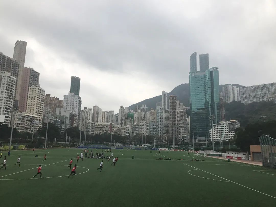 香港赛马会介绍,香港赛马会沙田马场