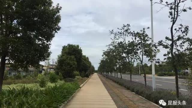 昆明机场高速景观提升,郑州机场高速亮化2023工程