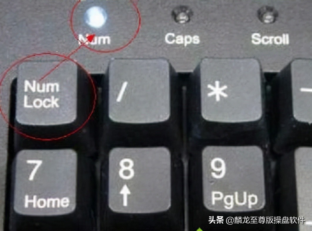 麟龙软件至尊版技巧,麟龙至尊版软件揭秘