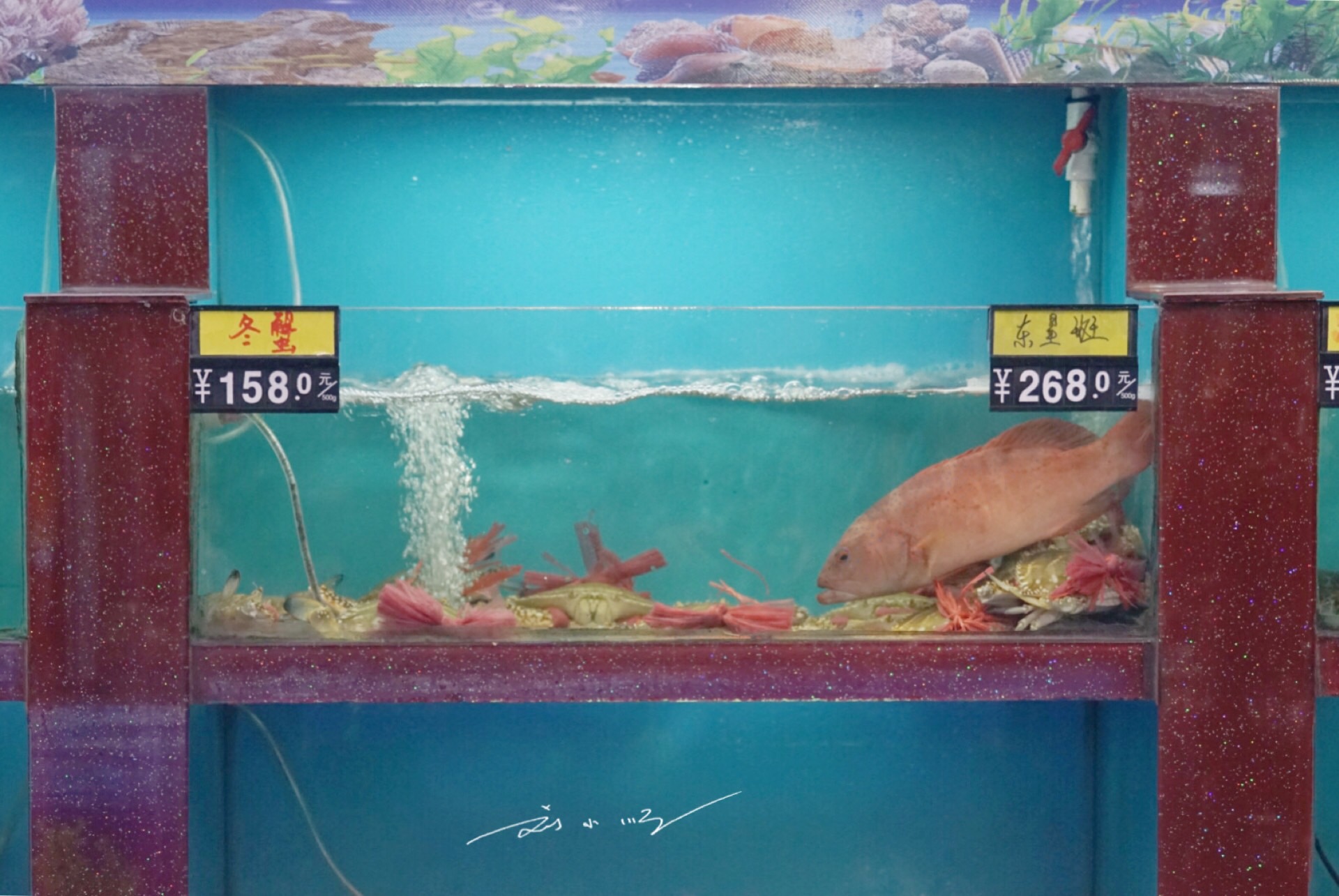 是厦门好玩还是三亚好玩,厦门吃海鲜排行榜前十名