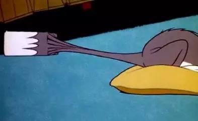 猫是一种液体吗看完长知识了,猫是液体猫咪吗