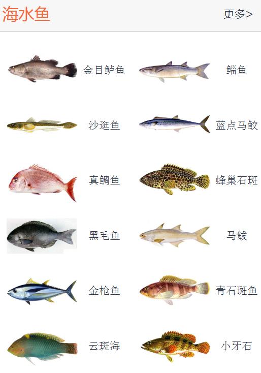 路亚竿选择看哪些指标,新手钓白条路亚竿怎么选择