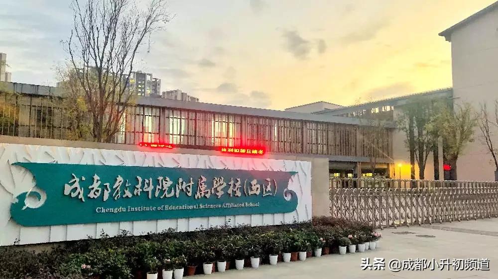 教科院有几个学校,教科院排名第几