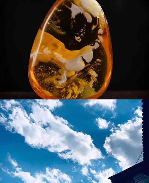 琥珀蜜蜡分类图解及价格,琥珀蜜蜡为什么收藏价值高