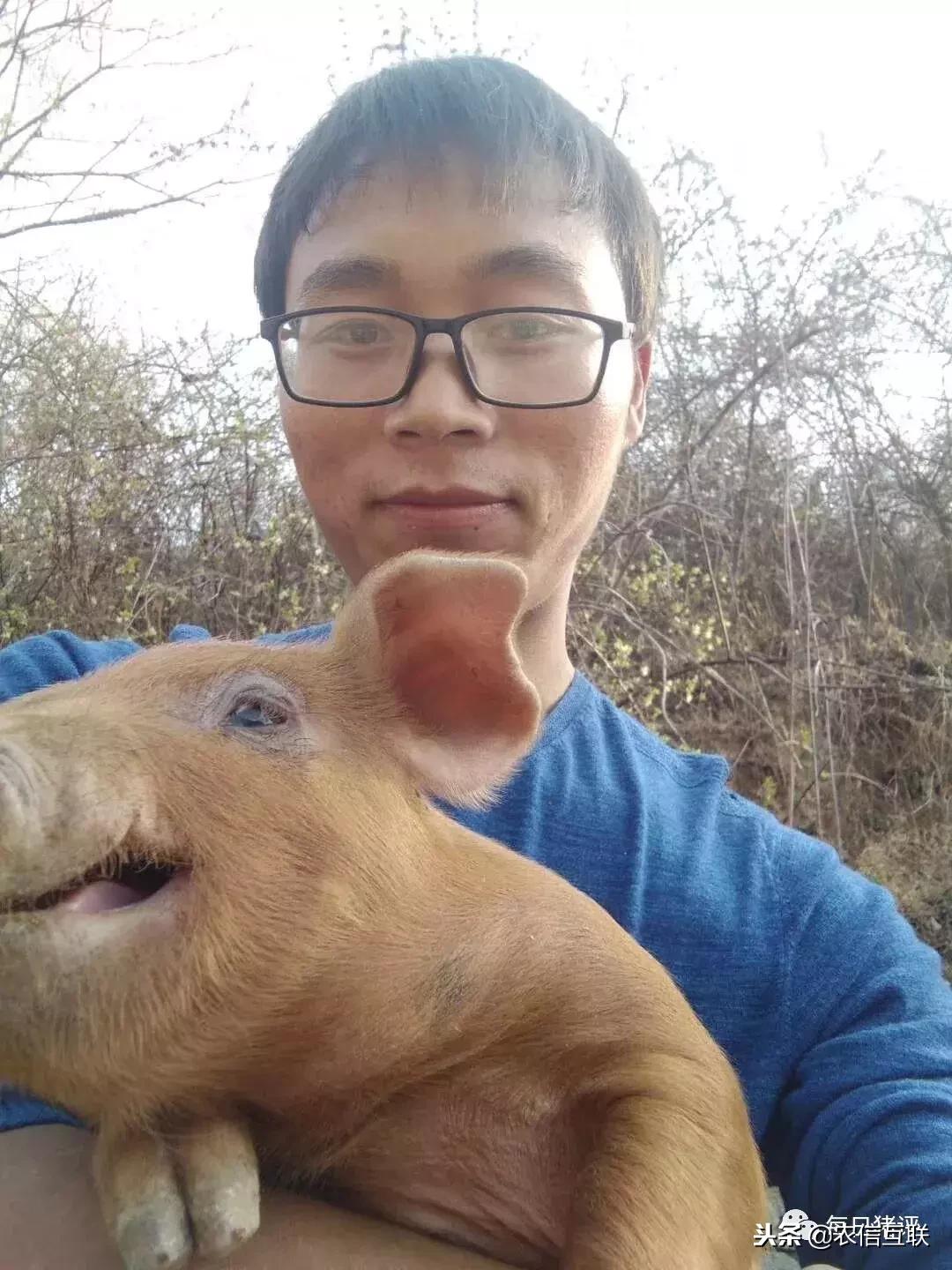 深度好文100个故事,深度好文复盘20年前