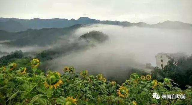 皖南白际旅游攻略图,皖南大峡谷一日游最佳路线