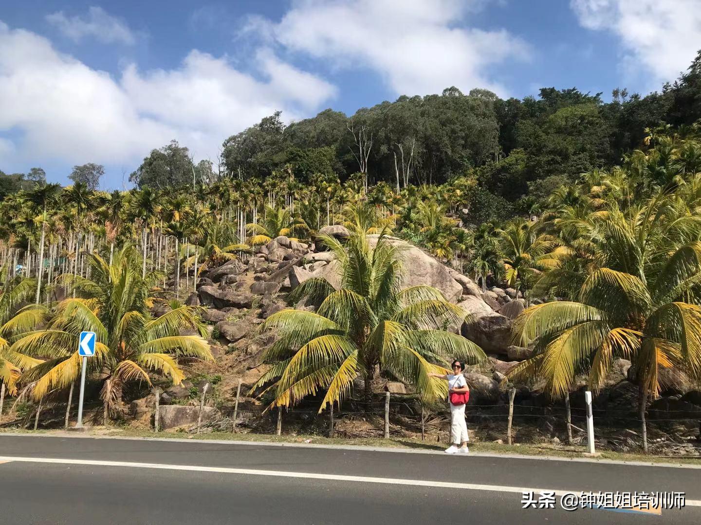 万宁神州半岛去哪租,去万宁神州半岛住哪里