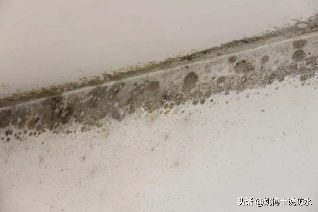 最潮湿的日子要来了，教你一招搞定湿气结露
