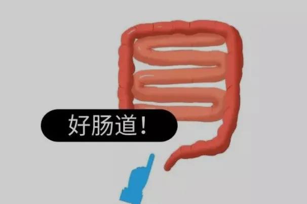 直肠癌指检能查出什么,肛肠指检能排除多少概率得直肠癌