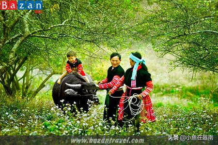 《走进越南》060期：越南山萝省，特产水果销往全球多个高端市场