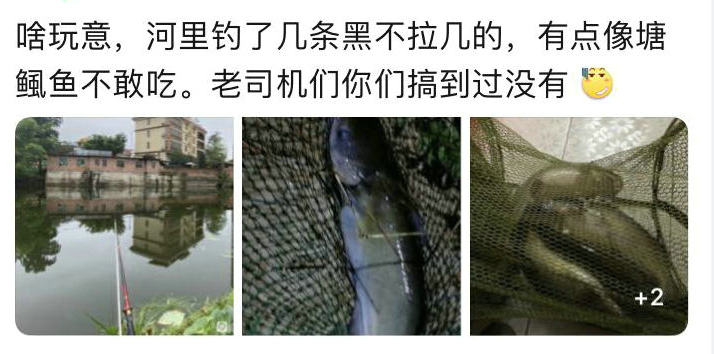 野外钓到了哪些鱼不能吃,广东钓的鱼为什么不能吃