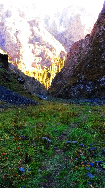 带上UL从狼塔C回家