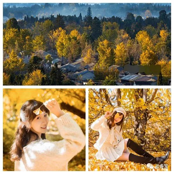 云南腾冲简介,腾冲松山战役简介