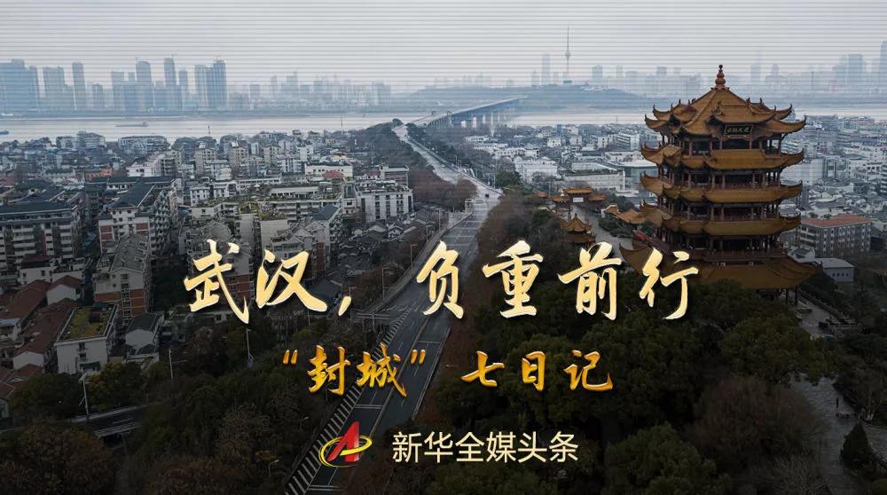 武汉日记简介,武汉日记封面