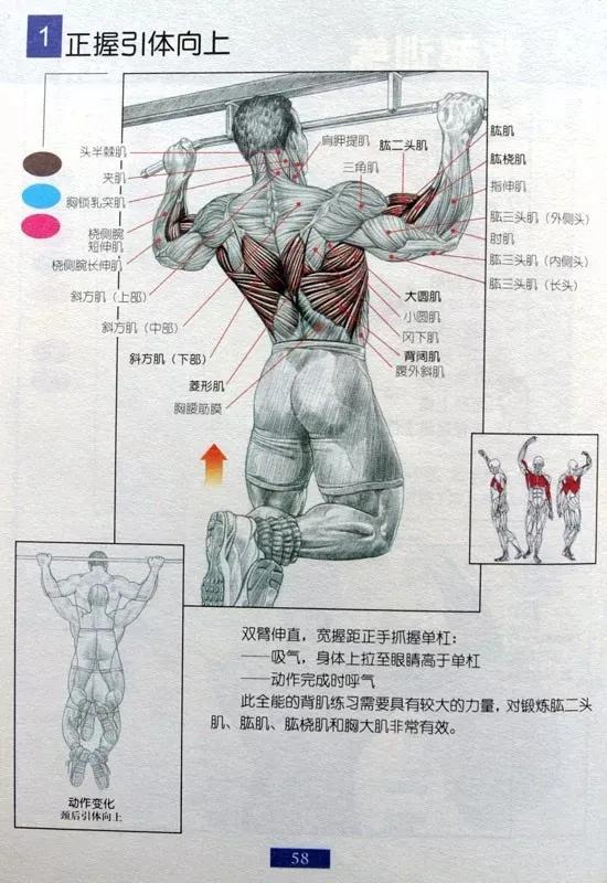 男士健身燃脂操30分钟完整版,健身房健身计划一周表男士增肌