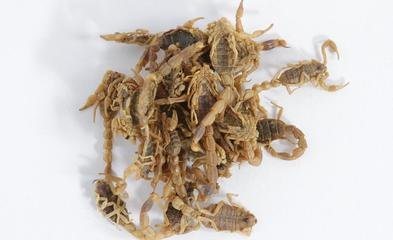 服用这副虫类药，让这名顽固性肺癌的患者，至今存活已94岁