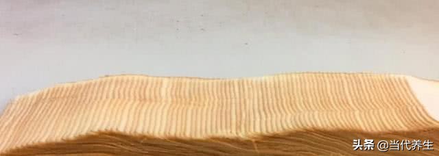 米其林大厨深山做菜,米其林大厨刀工完整版