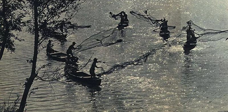 戛纳史上评分高的电影,又一部国产好电影