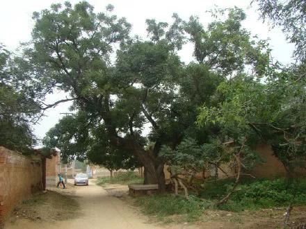 吕寨村历史名人,吕寨历史名人