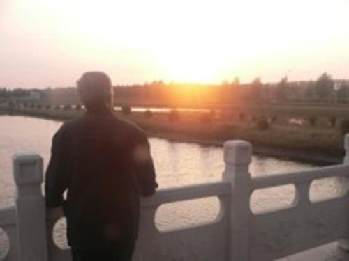 一个碗大约多少钱,一个碗一般是多少钱