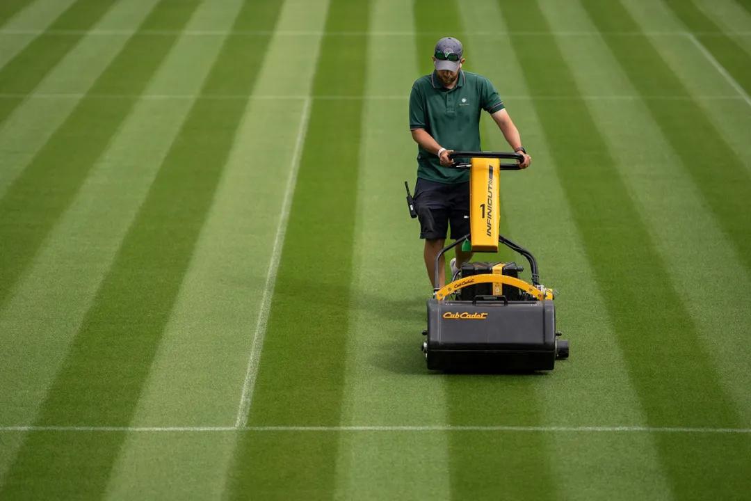 草地网球为什么那么少,草地网球跟红土网球的区别