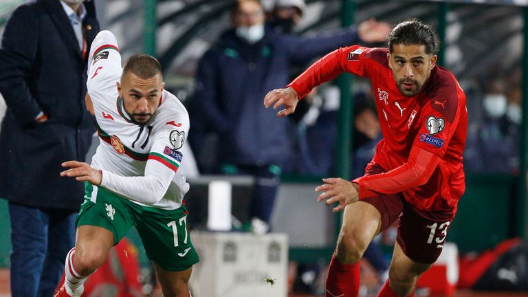 欧洲杯预测瑞士威尔士,欧洲杯A组威尔士队