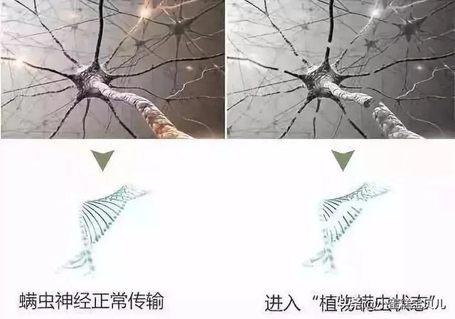 床单不洗螨虫成千上万,床单30天不洗竟螨虫成堆