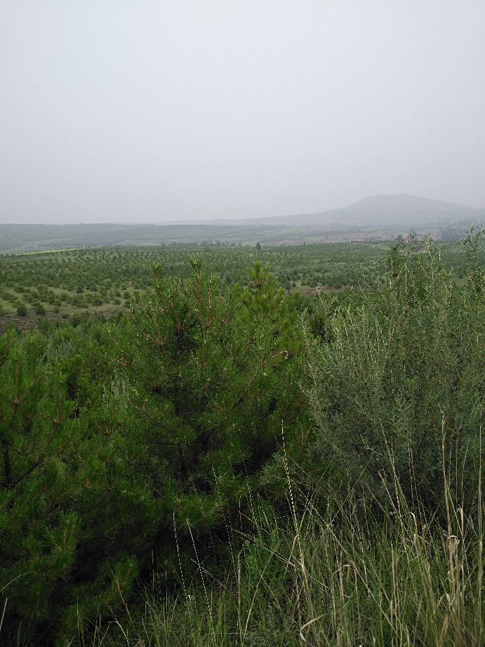 太惊讶！感受大同的风土人情，和城市的魅力