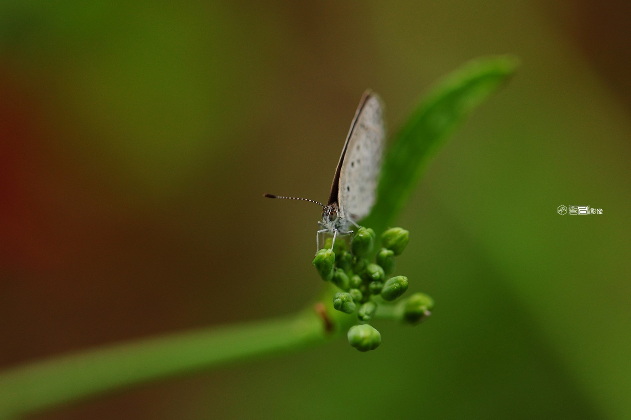 摄影小白适合高像素吗,风光摄影一定要高像素吗