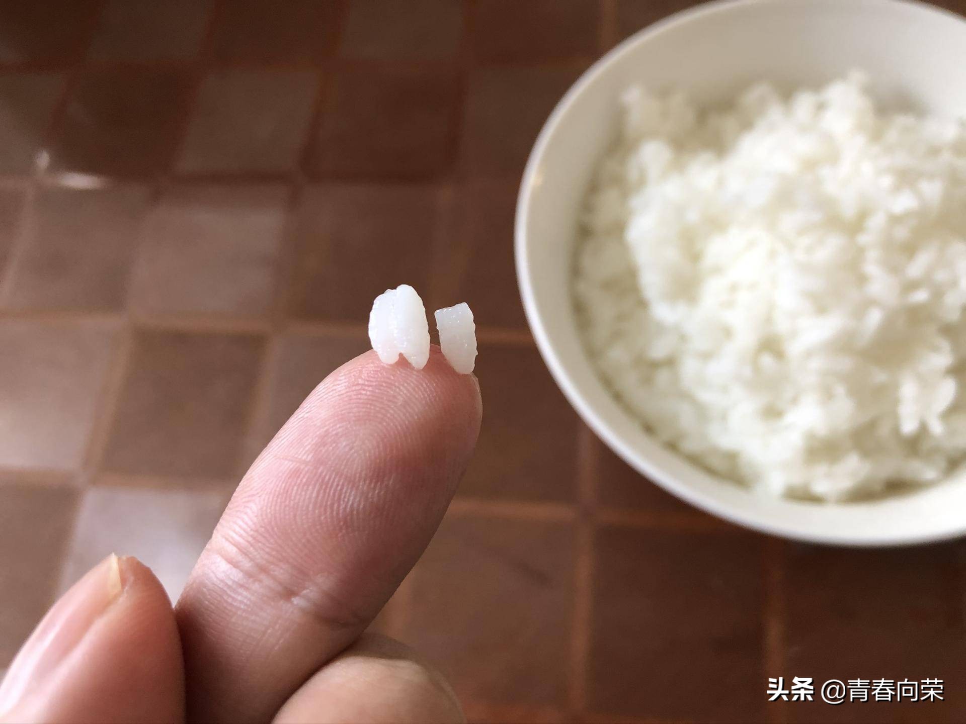 气釜降糖电饭煲使用方法,鼎釜电饭煲的优缺点