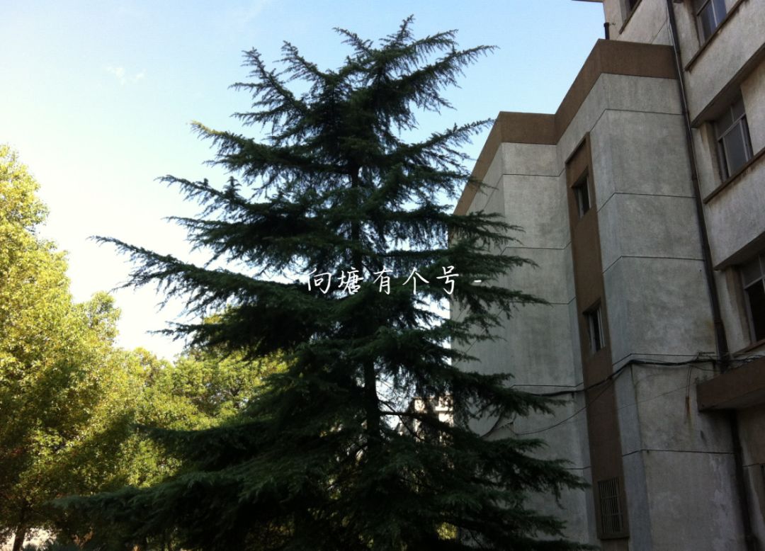 向塘好久不见,向塘中学