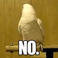 粤b指标更新最新政策,深圳人速看你关心的粤b指标问题