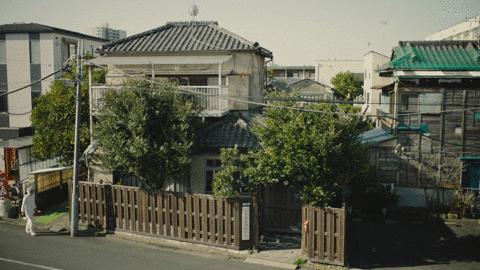 那个孤独的美食家，改行做了猫界家政妇。