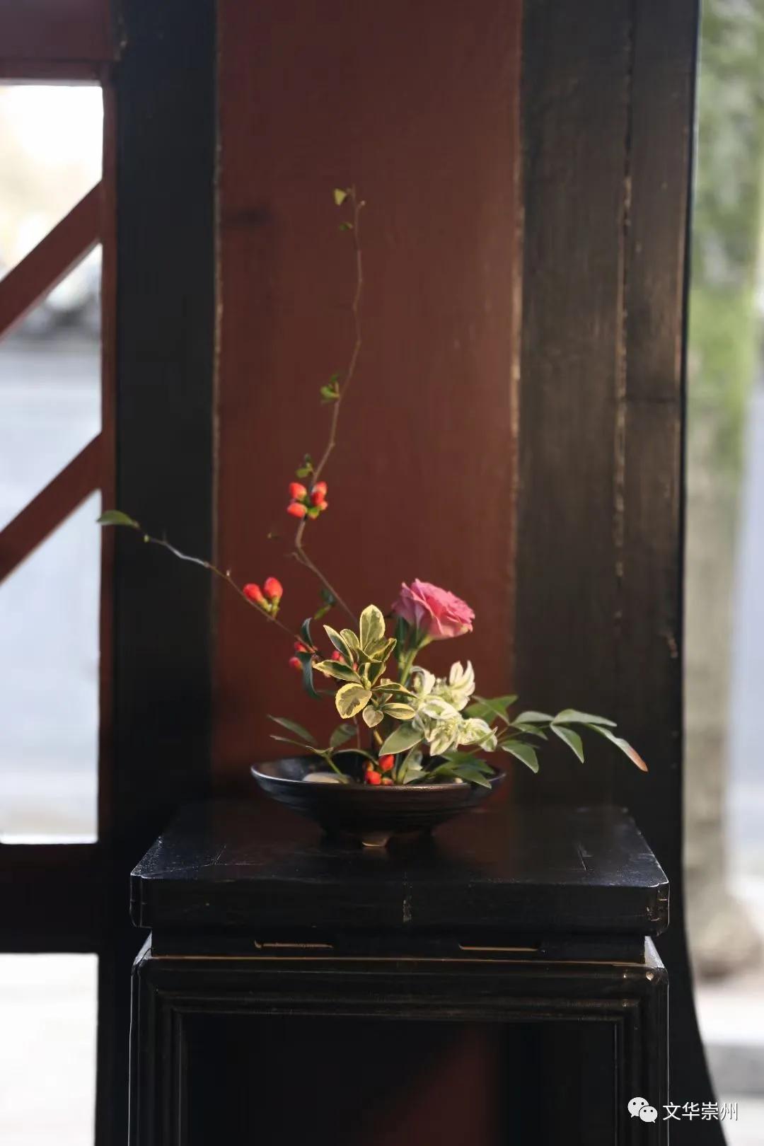 崇州罨画池春节,成都周边一日游崇州罨画池