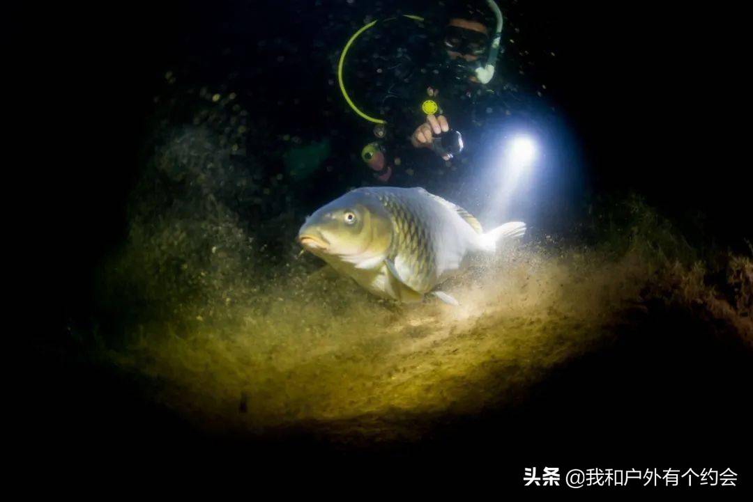 户外实录，爱好者深潜抚仙湖底，探秘古滇国古城遗址，看到什么？