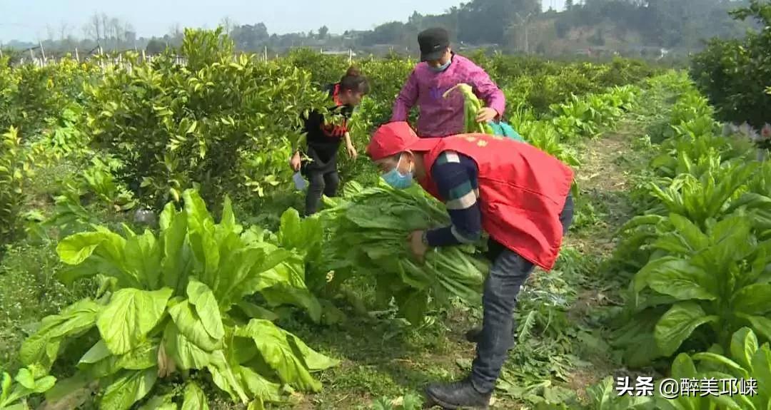 爱心企业主捐赠物资助力家乡抗疫,爱心企业慷慨解囊助力疫情防控
